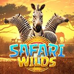 Safari Wilds