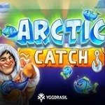 Arctic Catch