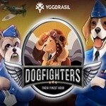 Dog Fighters - Their Finest Hour