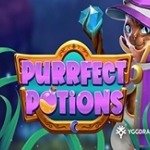 Purrfect Potions
