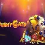 Pushy Cats